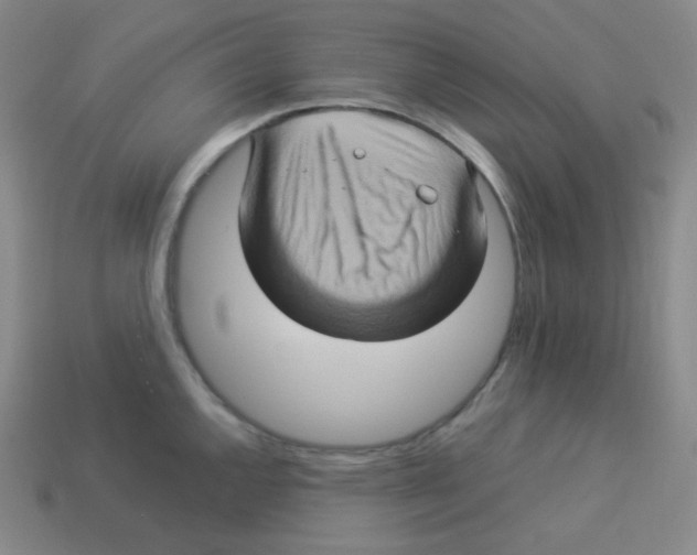 X0000113311144200910131102