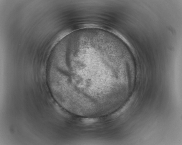 X0000113311145200910131102