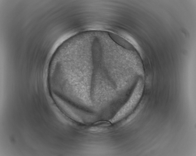 X0000113311146200910131102