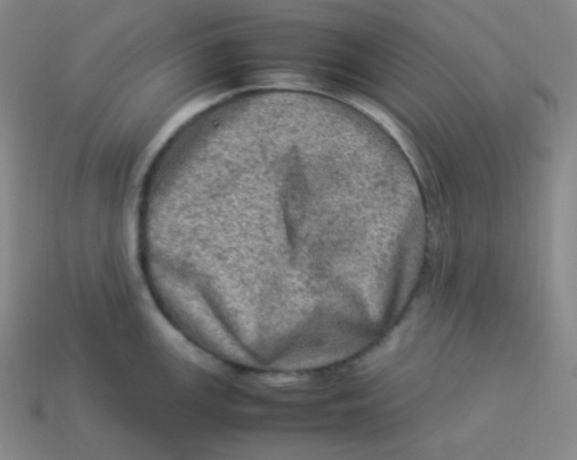 X0000113311147200910131102