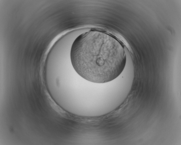 X0000113311148200910131102