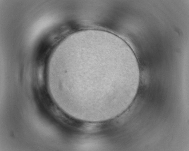 X0000113311150200910131102