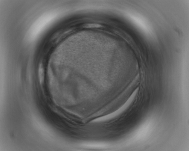 X0000113311151200910131102