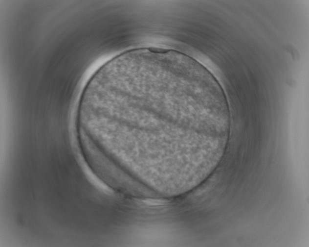 X0000113311152200910131102