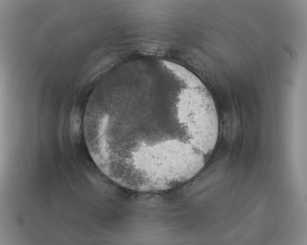 X0000113311154200910131102