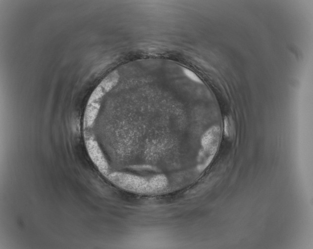 X0000113311155200910131102