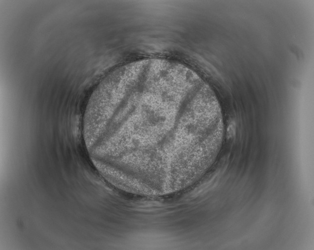 X0000113311156200910131101