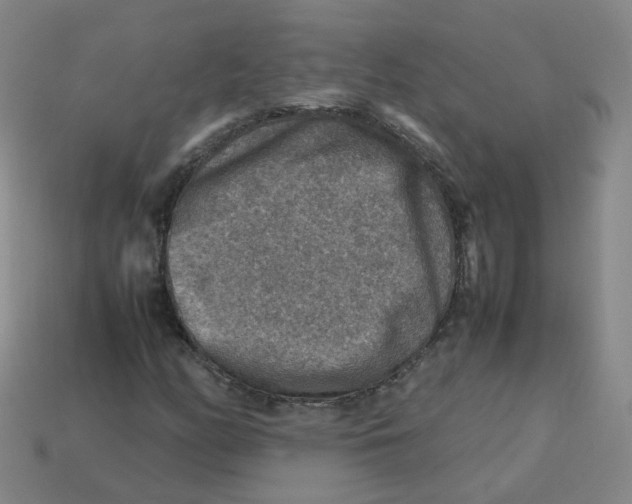 X0000113311158200910131101