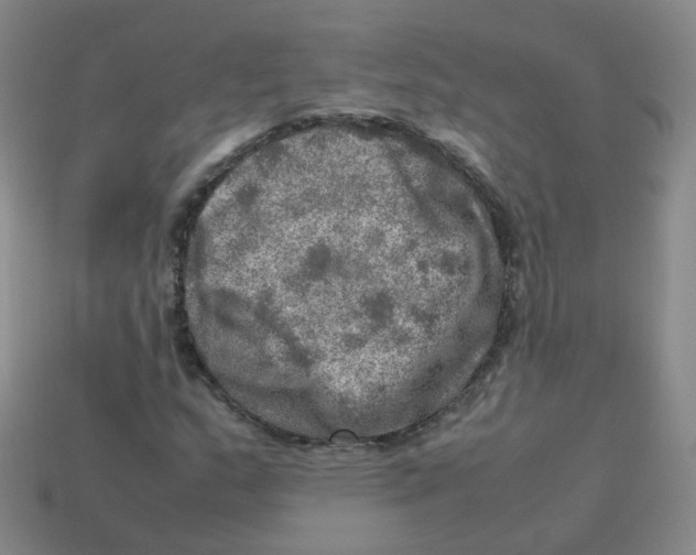 X0000113311159200910131101