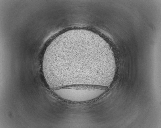 X0000113311160200910131101