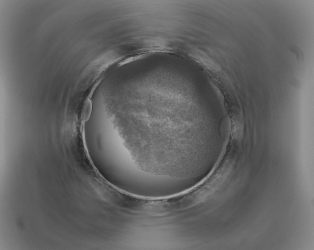 X0000113311161200910131101