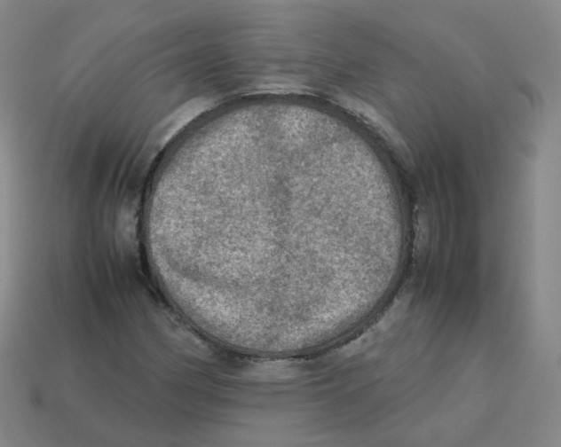 X0000113311162200910131101