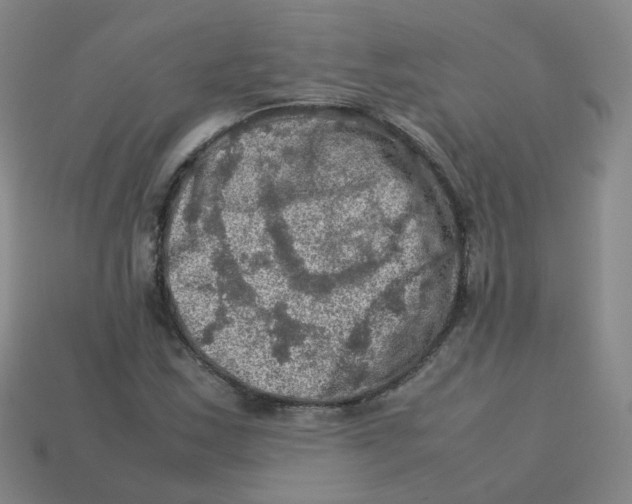 X0000113311163200910131101