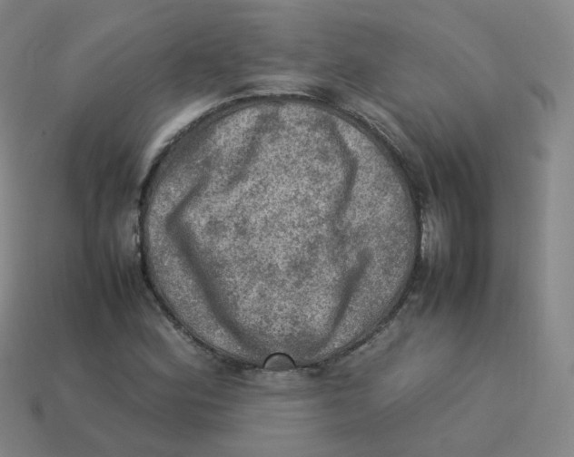 X0000113311164200910131101