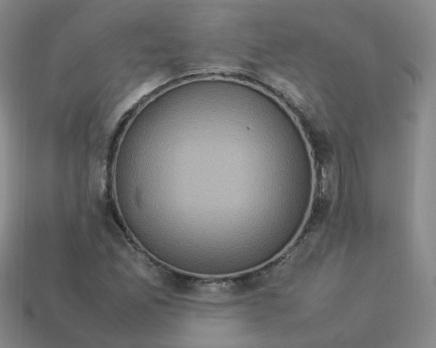 X0000113311165200910131101