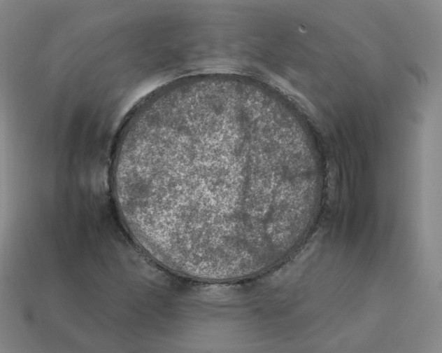 X0000113311166200910131101