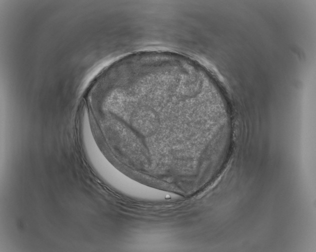 X0000113311167200910131101