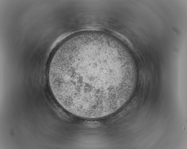 X0000113311168200910131101