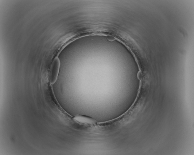 X0000113311169200910131101