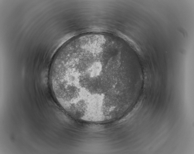 X0000113311170200910131101