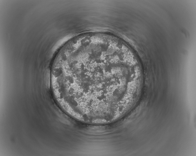 X0000113311171200910131101