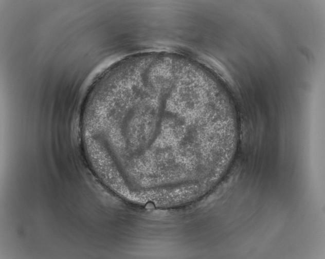 X0000113311172200910131101