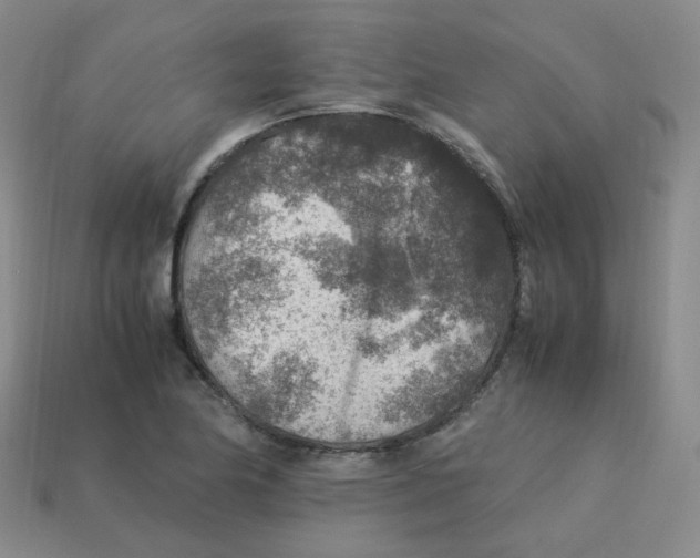 X0000113311174200910131101