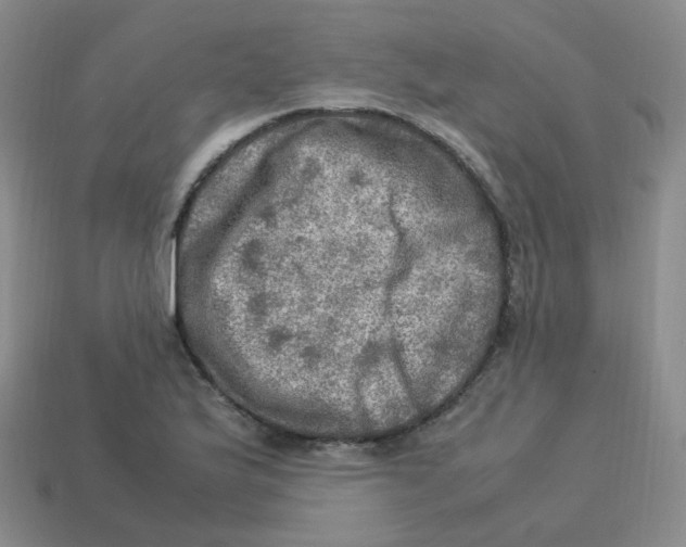 X0000113311175200910131101