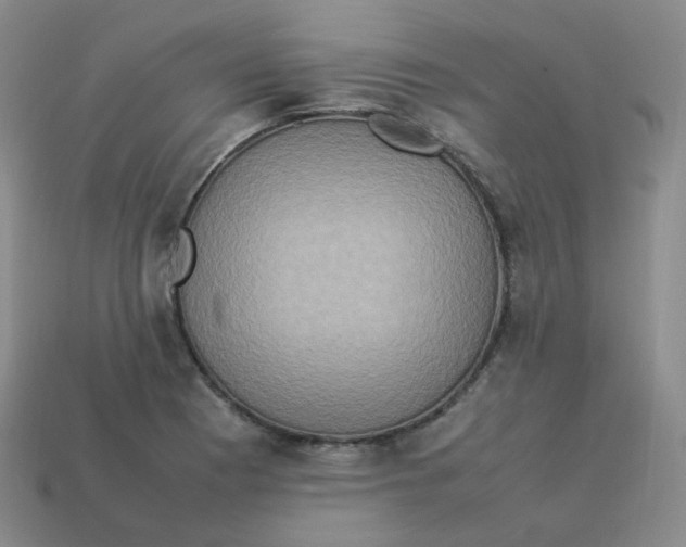 X0000113311177200910131101