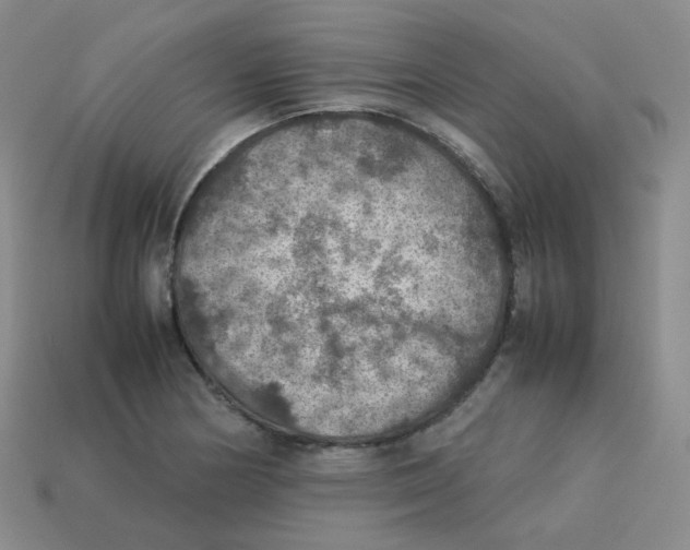 X0000113311178200910131101