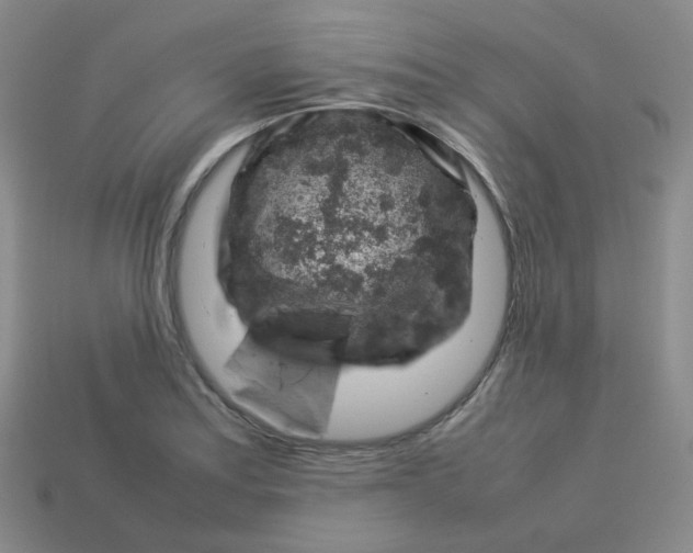 X0000113311179200910131101