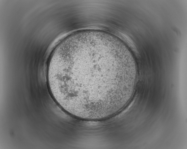 X0000113311180200910131101