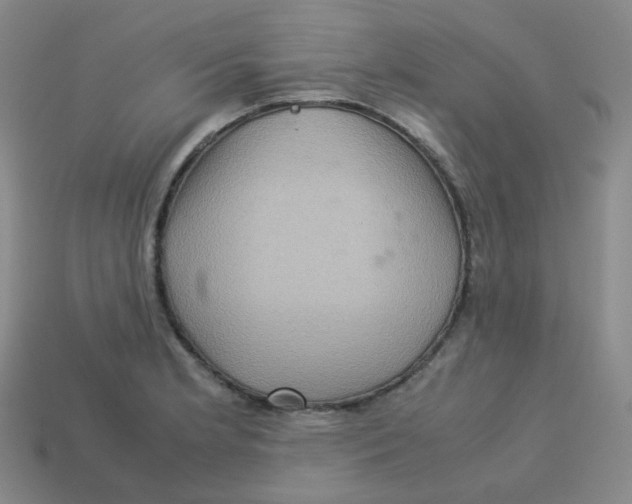 X0000113311181200910131101