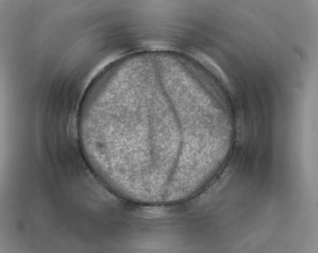 X0000113311182200910131101