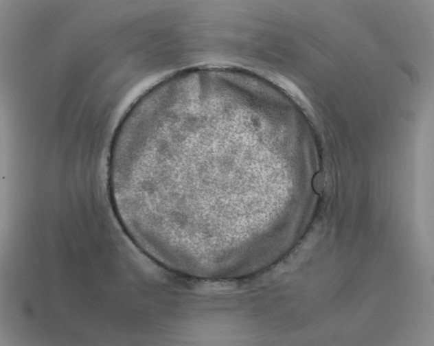 X0000113311183200910131101