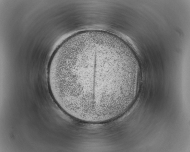 X0000113311184200910131101