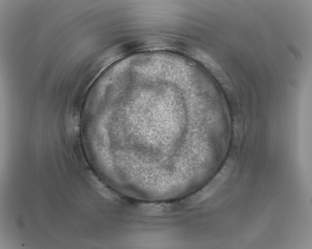 X0000113311185200910131101