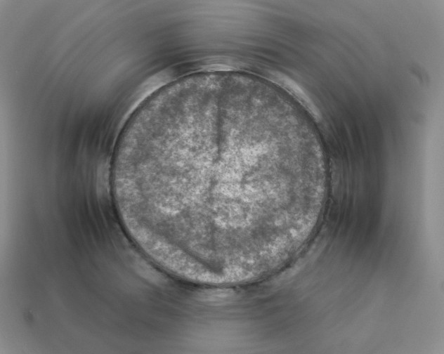 X0000113311186200910131101