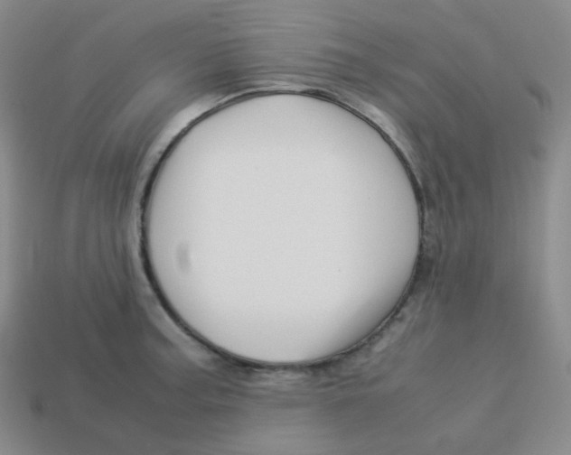 X0000113311187200910131101