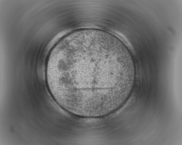 X0000113311188200910131101