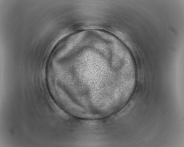 X0000113311189200910131101