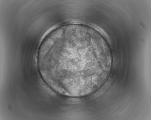 X0000113311190200910131101