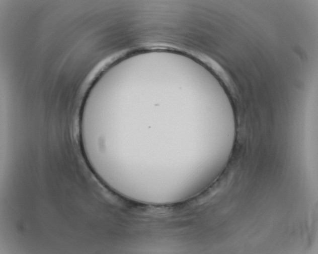 X0000113311191200910131101