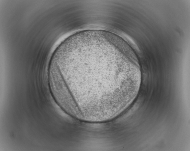 X0000113311192200910131101