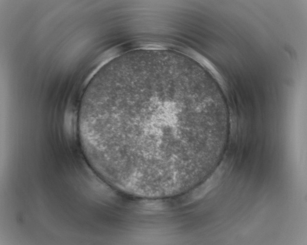 X0000113311194200910131101