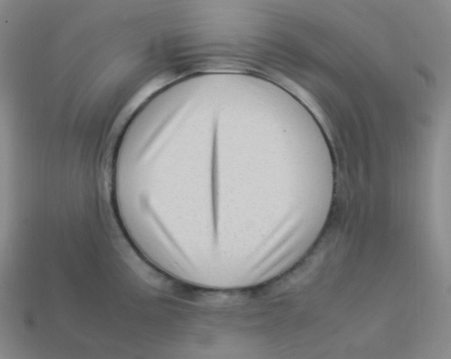 X0000113311195200910131101