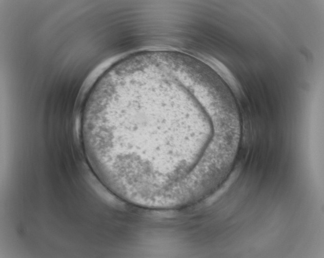 X0000113311196200910131101