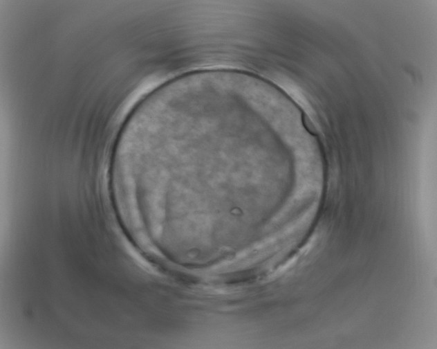 X0000113311197200910131101