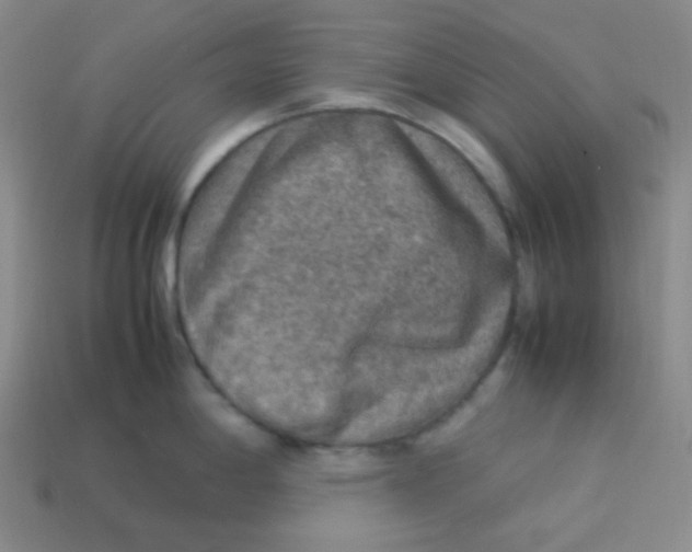 X0000113311198200910131101