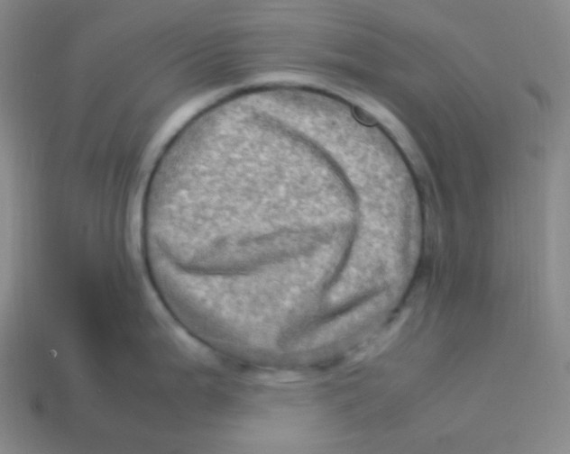 X0000113311199200910131101